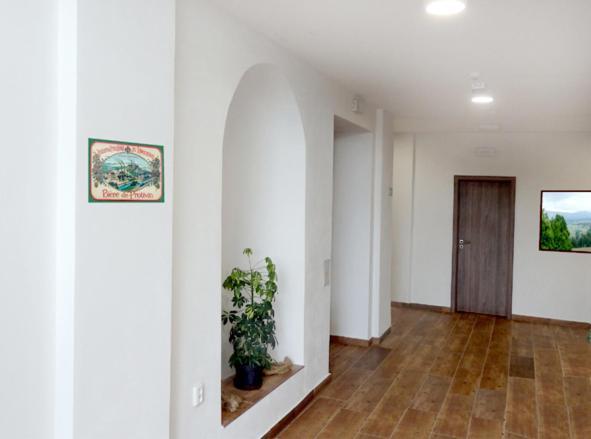Penzion U Provaznika Zdikov Bagian luar foto
